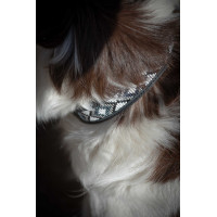 Halsband voor hond Pénélope Pearl Havana / roze Bruin