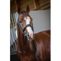 Bridon Pénélope Daily Bridon Pénélope Daily