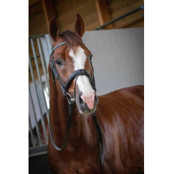 Bridon Pénélope Daily Zwart