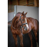 Bridon Pénélope Daily Bridon Pénélope Daily