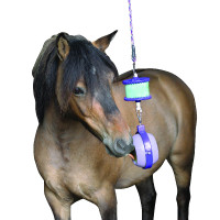 Spel zoutsteen Boredom Buster Likit Spel zoutsteen Boredom Buster Likit