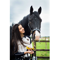 Likit Stud Muffins traktaties