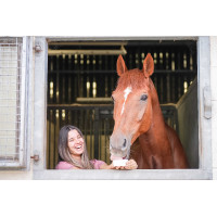 Liksteen Little Likit Liksteen Little Likit