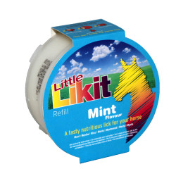 Liksteen Little Likit