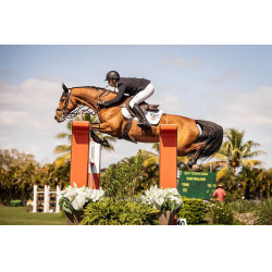 Handschoenen Racer® Tradition Zwart