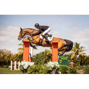 Handschoenen Racer® Tradition Zwart