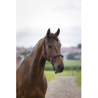 Norton ethologische hoofdstel touw/synthetisch Zwart