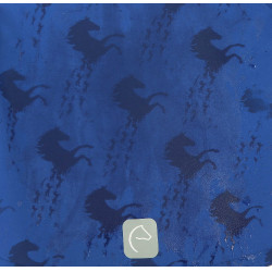 Softshell Equi-Kids Amandine Marineblauw