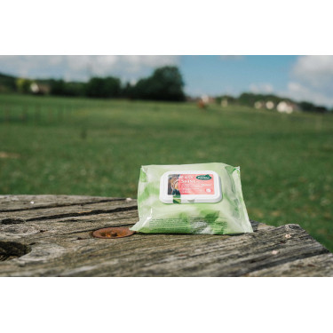 Easy Shine Wipe Ravene Reinigingsdoekjes