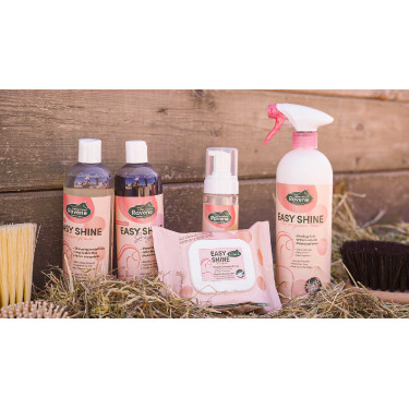 Easy Shine Wipe Ravene Reinigingsdoekjes