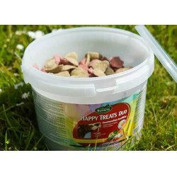 Happy treats duo Ravene