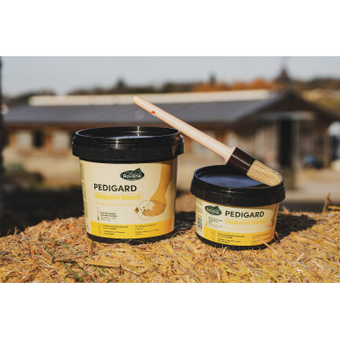 Pediguard Ravene Blonde Zalf