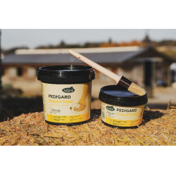 Pediguard Ravene Blonde Zalf