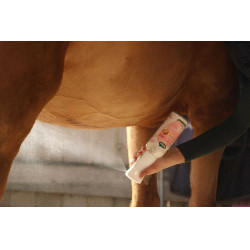 Easy Shine Intense Ravene navulling Easy Shine Intense Ravene navulling