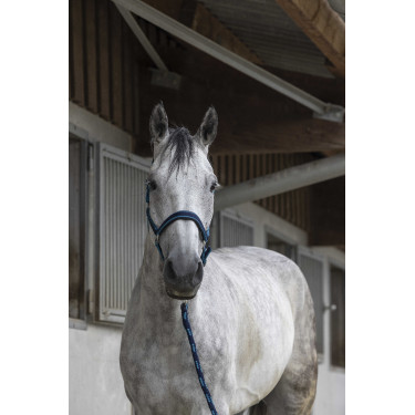 Halster + lijn Equitheme Satiné Marine / turquoise Blauw