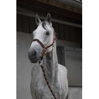 Halster + lijn Equitheme Satiné Marine / turquoise Blauw