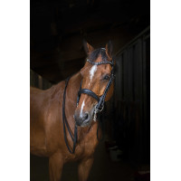 Bruid Eric Thomas Hybrid Zwart