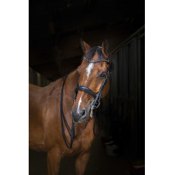 Bruid Eric Thomas Hybrid Zwart