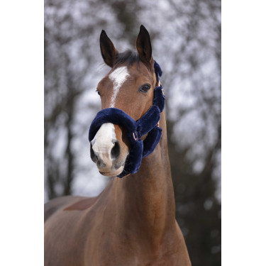 Halster Equithème Teddy roségoud Zwart Halster Equithème Teddy roségoud Zwart