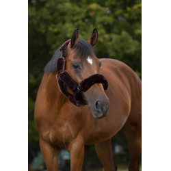 Set voor halster Equithème Teddy Bruin Set voor halster Equithème Teddy Bruin