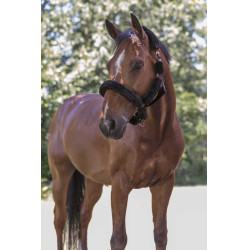 Norton halster Full synthetische schapenvacht Choco / zwart Bruin