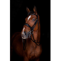 Teugels van hoofdstel Eric Thomas Elite 13 mm Zwart