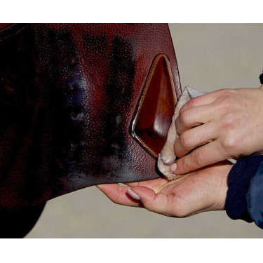 De Olie Type Rundervoet van de Hoefsmid