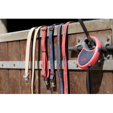 Leren halsband Diego & Louna voor hond Natuurlijk Bruin