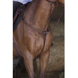 Elastische martingaal Norton Pro Havana Bruin