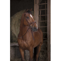 Rubberen teugels Norton Pro Havana Bruin Rubberen teugels Norton Pro Havana Bruin