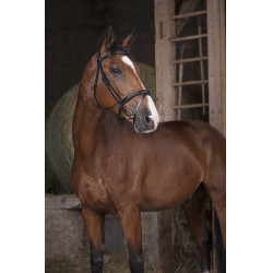 Bridon Norton Pro Combiné Zwart Bridon Norton Pro Combiné Zwart