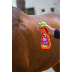 Stop dazen Equinatura