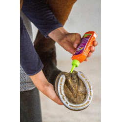 Bescherming van de straal Equinatura