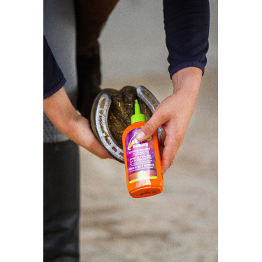 Bescherming van de straal Equinatura