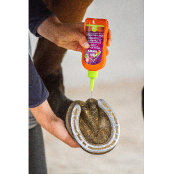 Bescherming van de straal Equinatura