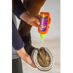 Bescherming van de straal Equinatura