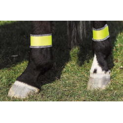 Reflecterende gele bandages voor achterbenen