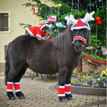 Kerstorenmuts in de vorm van rendiergewei Kerstorenmuts in de vorm van rendiergewei