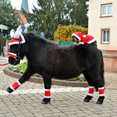Kerstorenmuts in de vorm van rendiergewei Kerstorenmuts in de vorm van rendiergewei