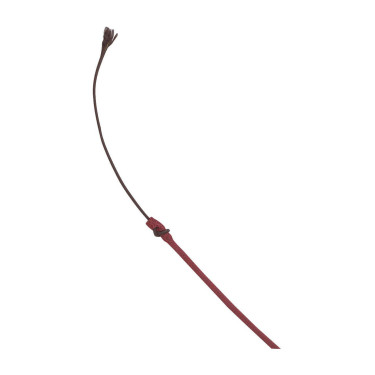 Dressuurzweep Whip & Go kunststof handvat Bordeaux