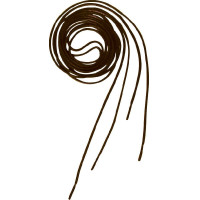 Equithème veters Bruin