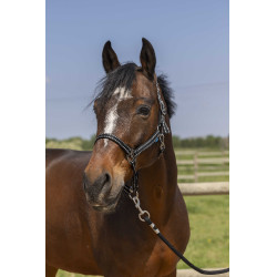 Licol Norton Grooming Zwart
