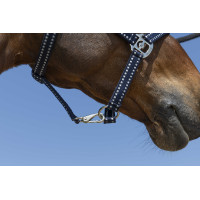 Licol Norton Grooming Licol Norton Grooming