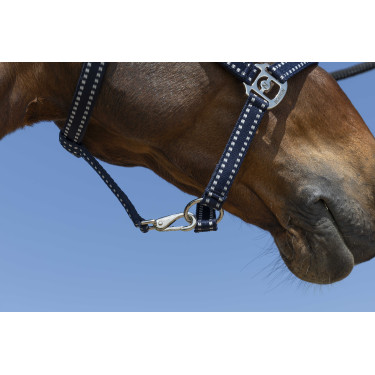 Licol Norton Grooming Marineblauw