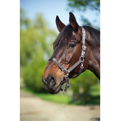 Halster Equithème Nylon Donkergrijs