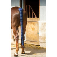 Staartbeschermer Norton Doudoune lang Staartbeschermer Norton Doudoune lang