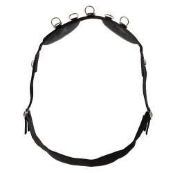 Werkteugel Riding World synthetisch