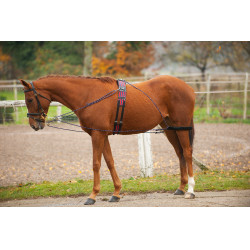 Norton katrollenhulpteugel