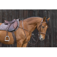 Elastische verstelbare hulpteugel