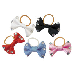 Vlechtelastieken Equithème met transparante strass-steentjes Vlechtelastieken Equithème met transparante strass-steentjes